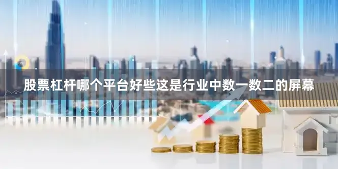 股票杠杆哪个平台好些这是行业中数一数二的屏幕